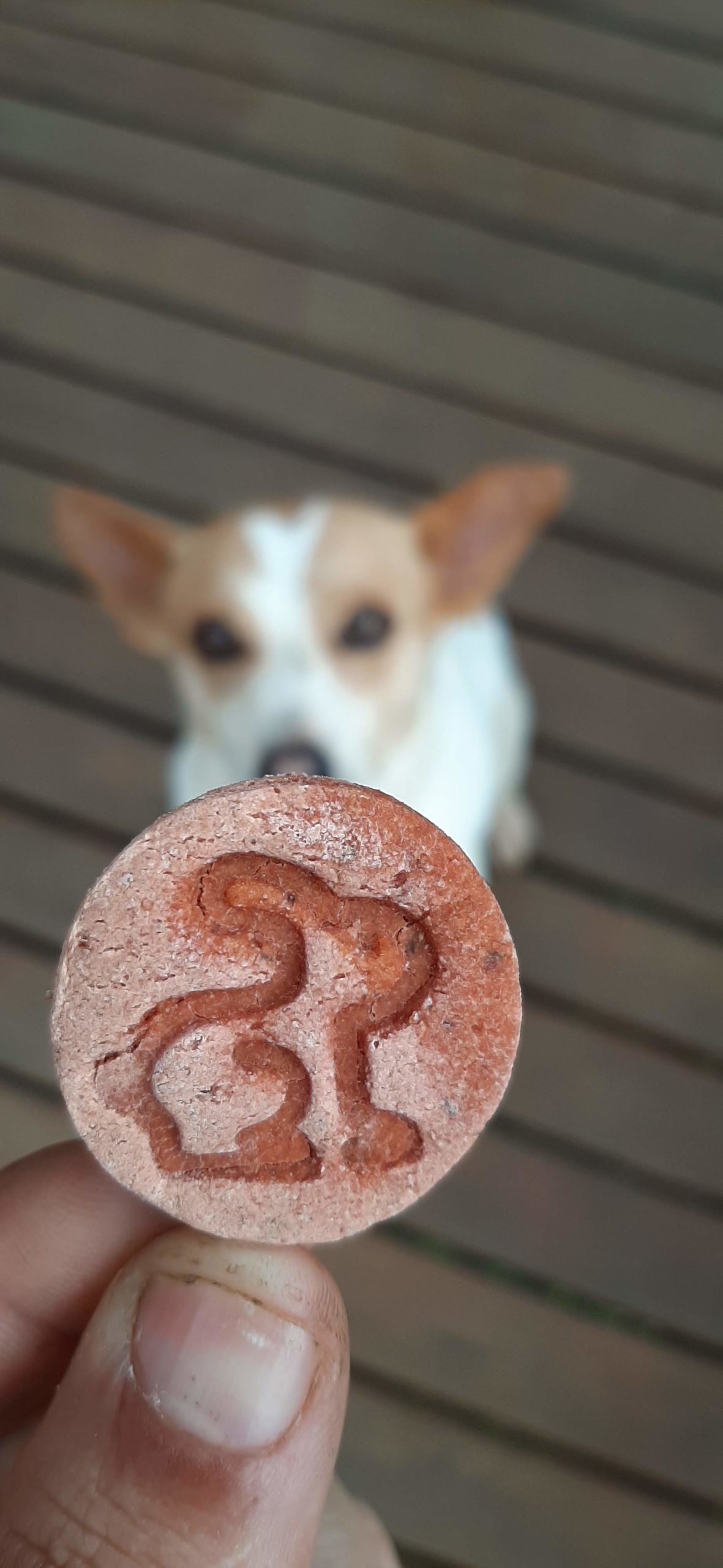 Mini Bits Páscoa - Imagem 2