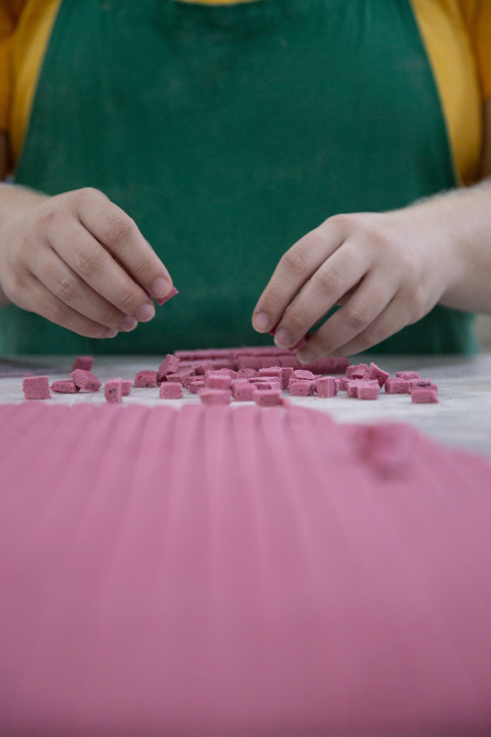 Petisco Treino®️ Natural de Beterraba e Inhame - Imagem 3