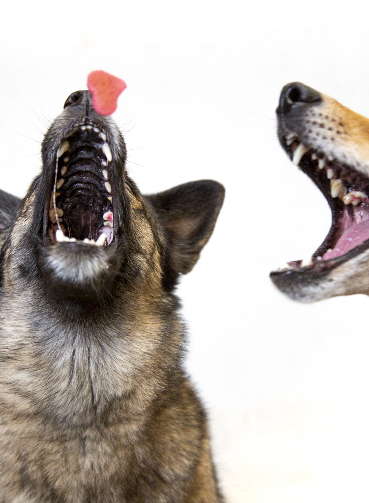 Coração Natural de Beterraba e Inhame - Imagem 3