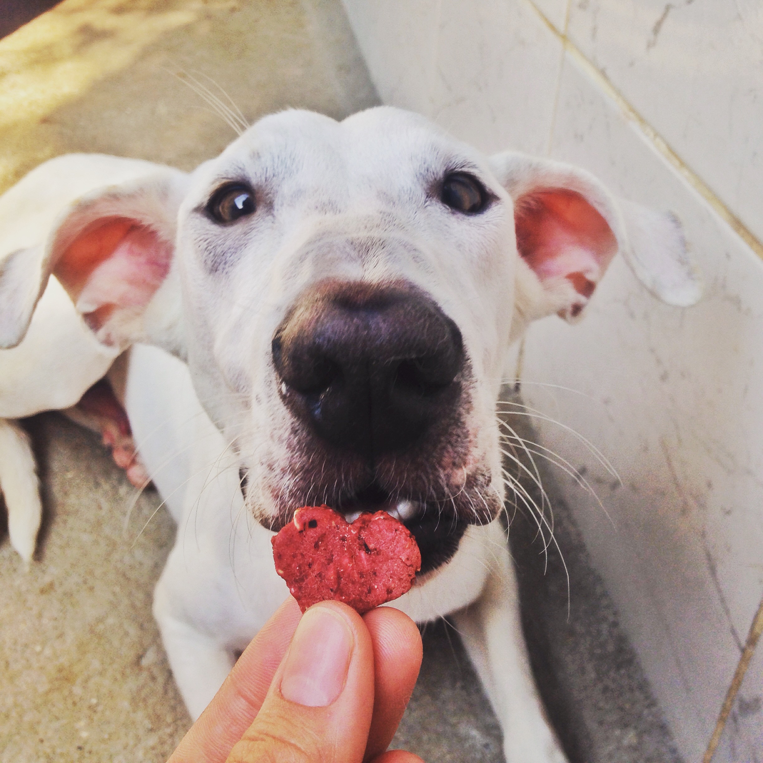 Coração Natural de Beterraba e Inhame - Imagem 4